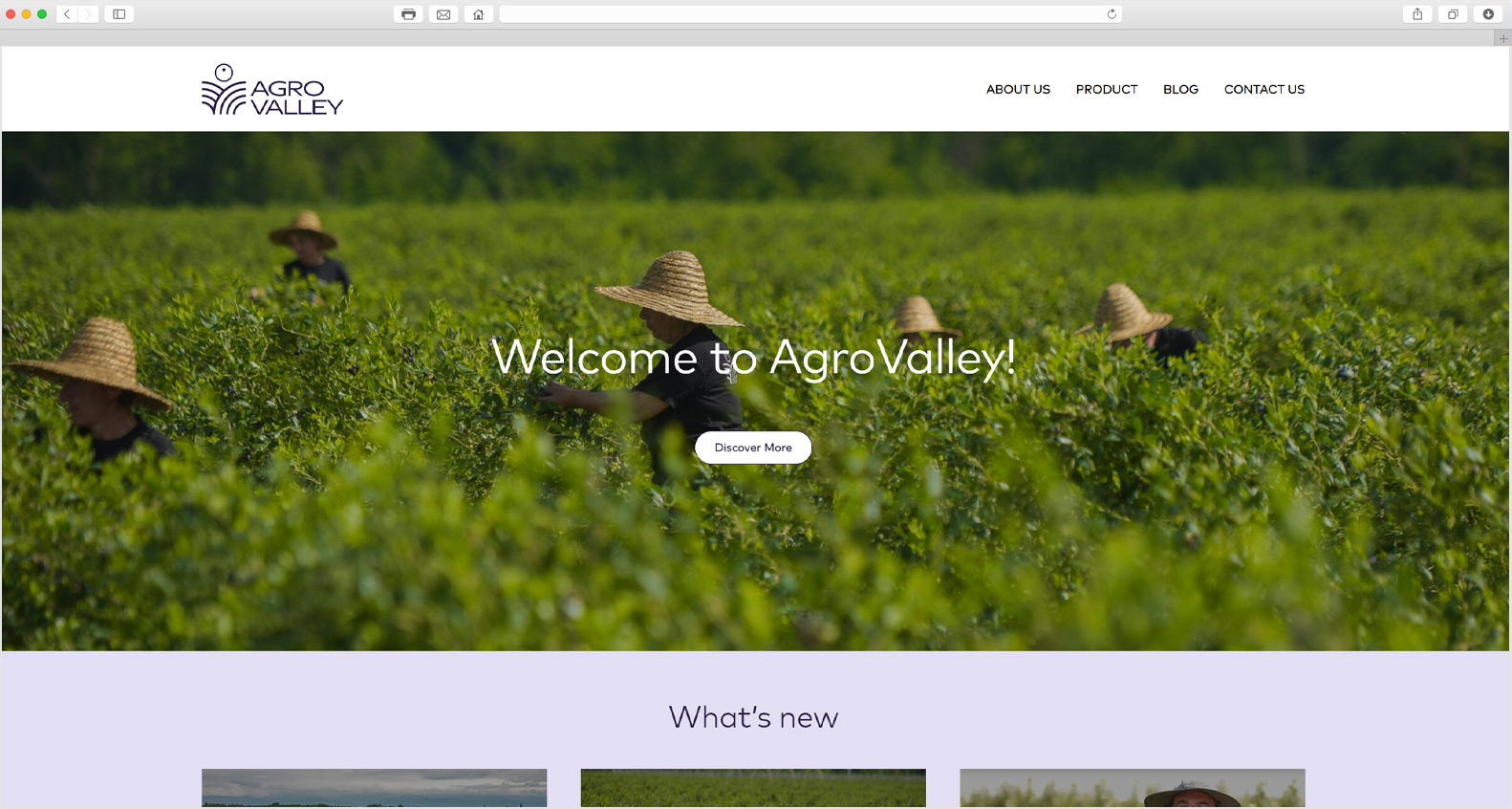 Tatsson – corporate website agrovalley.ge